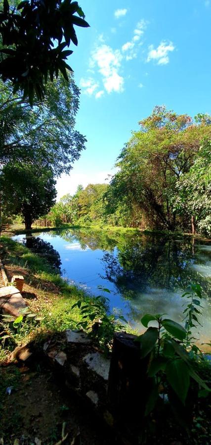 Chacara Bica Dagua Villa ปิเรนนอโปลิส ภายนอก รูปภาพ