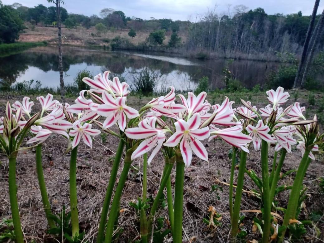 Chacara Bica Dagua Villa ปิเรนนอโปลิส ภายนอก รูปภาพ